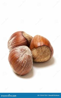 網(wǎng)游代理新藍海 《三國將無雙》0.1折魂穿三國模式的國際化運營之道